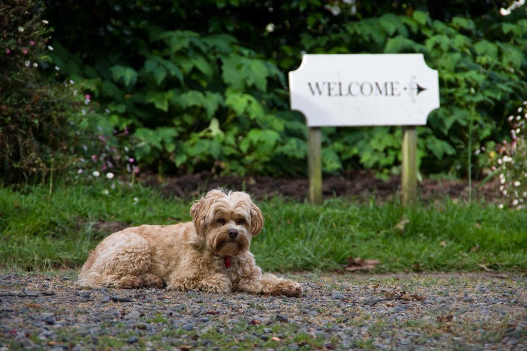 Hotel Ugbrooke Country Estate Lower Dashwood Exteriér fotografie